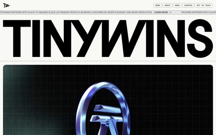 TinyWins website preview
