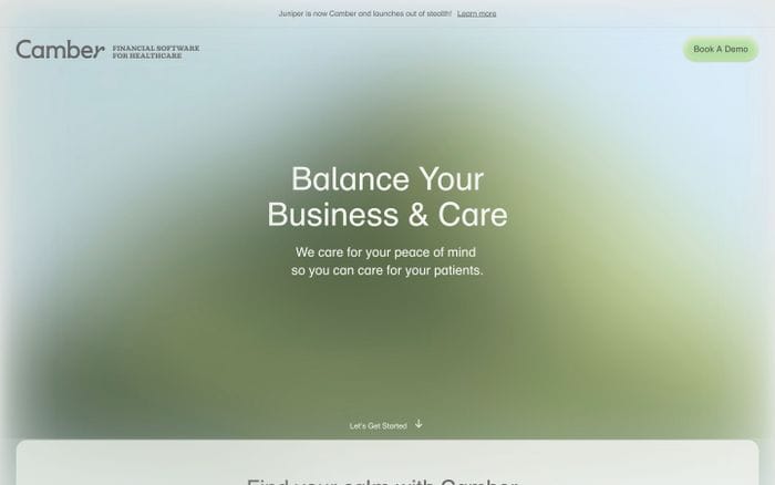 Camber website preview