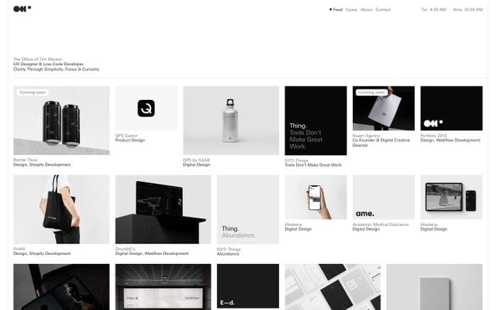 Timothy Maurer website preview