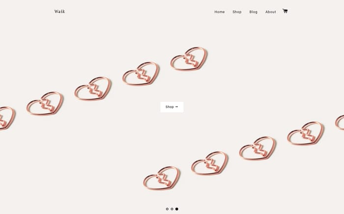 Wask website preview