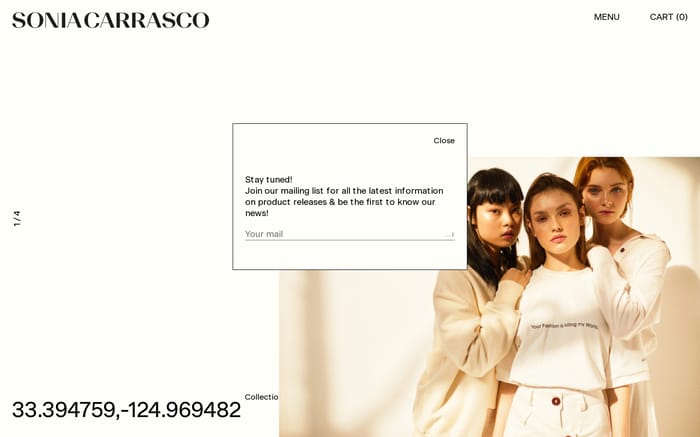 Sonia Carrasco website preview