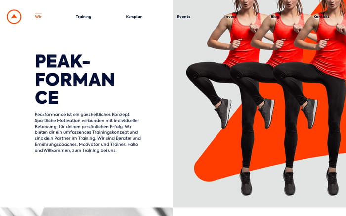 Wir website preview