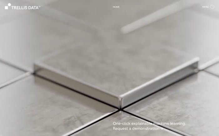 Trellis Data website preview