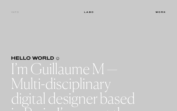 Guillaume Mitch website preview