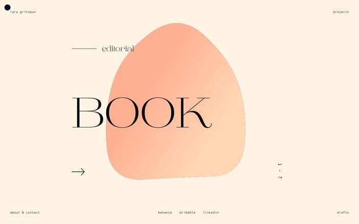 Iara Grinspun | Graphic Designer website preview