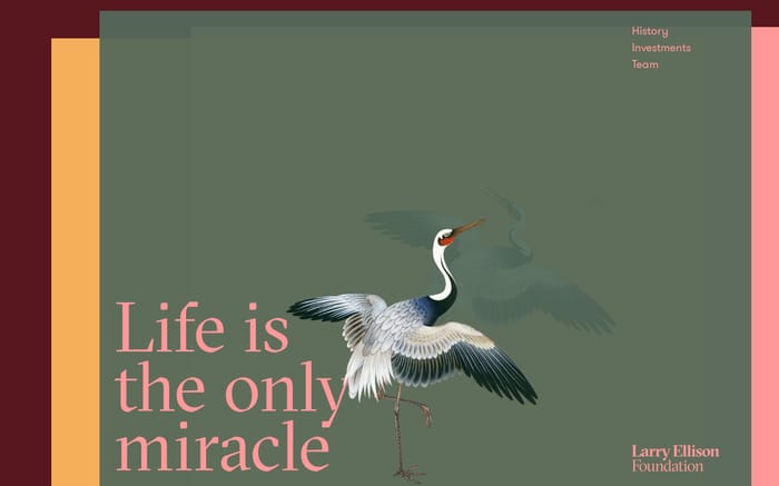  Larry Ellison Foundation website preview