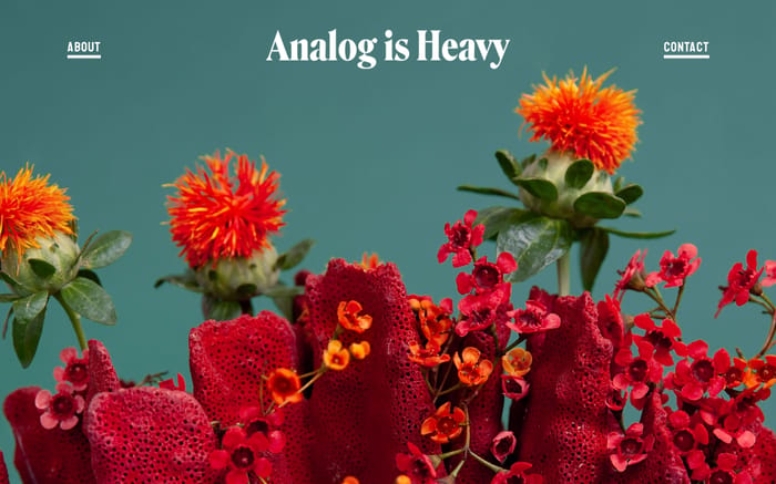 Analog is Heavy website preview