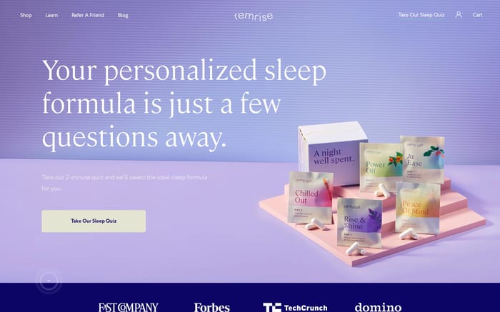 Remrise website preview