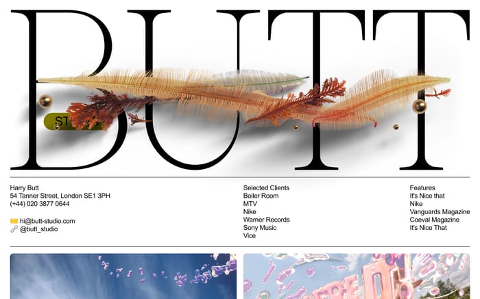 Butt studio website preview