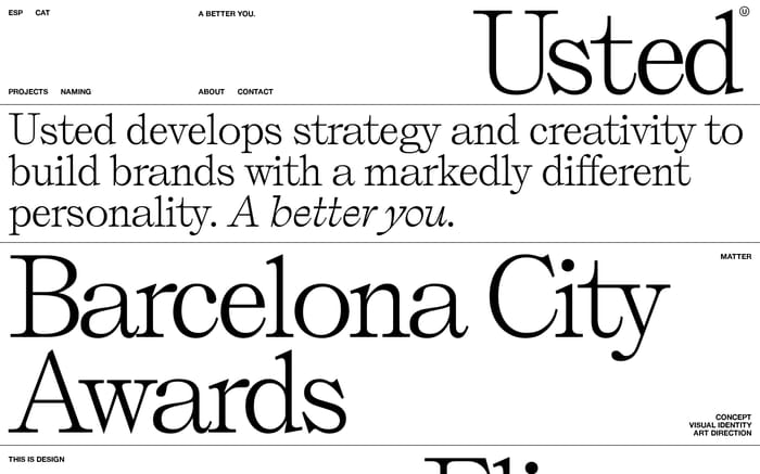Usted website preview
