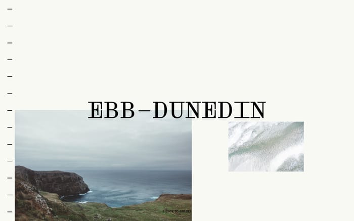 Ebb Dunedin website preview