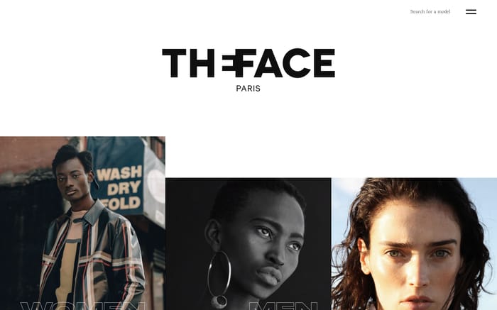  The Face website preview