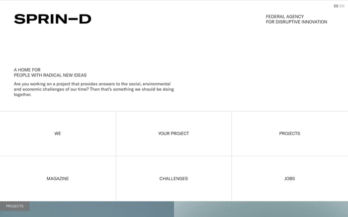 Sprin-D website preview
