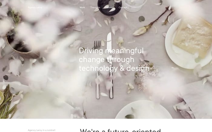 Agency Leroy website preview