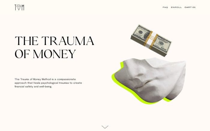 Trauma of money website preview