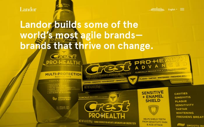 Landor website preview