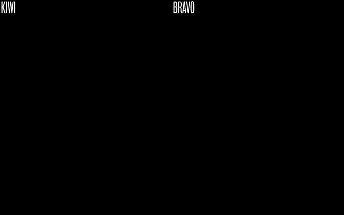 Kiwi Bravo website preview