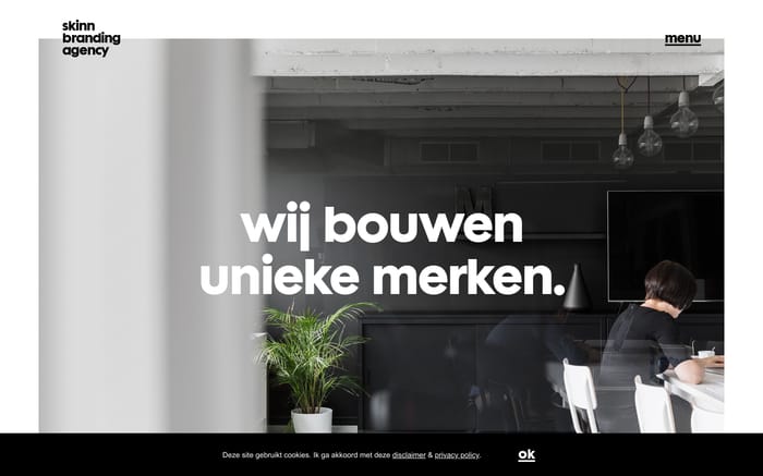 skinn website preview