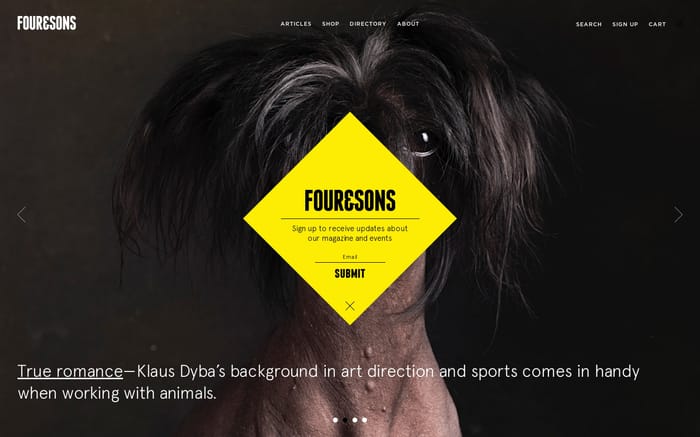 Four&Sons website preview