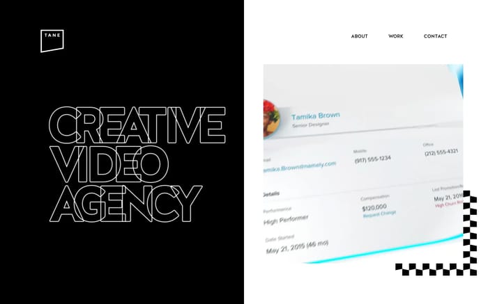  Tane - Creative Video Agency website preview