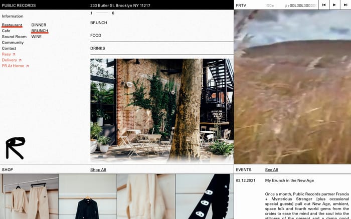 Public records website preview
