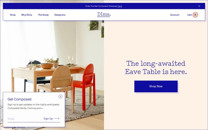 Dims website preview