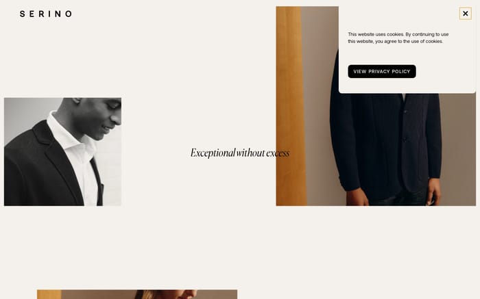 Serino website preview