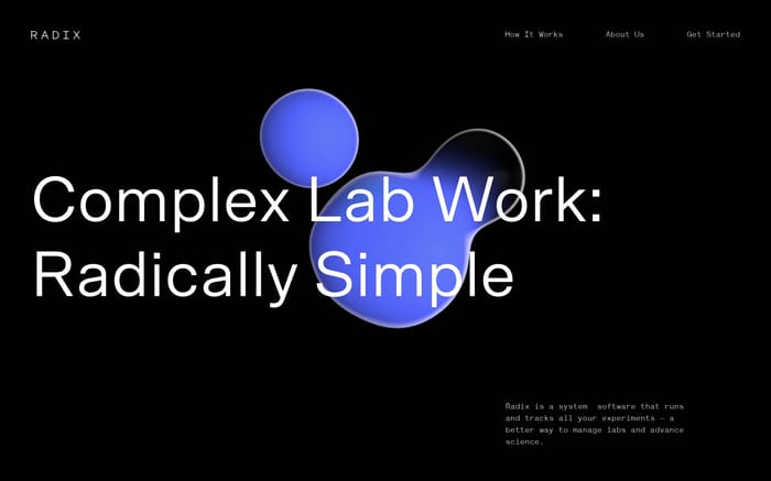 Radix website preview