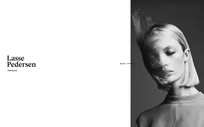 Lasse Pedersen website preview