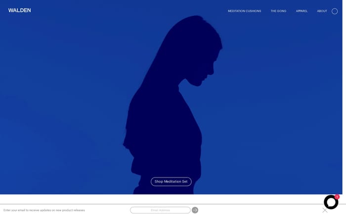 Walden website preview