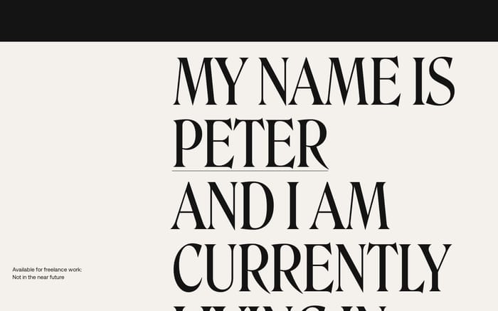 Peter Demulsant website preview