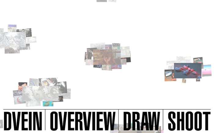 DVEIN website preview