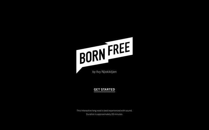 Born Free Generation – Ilvy Njiokiktjien website preview