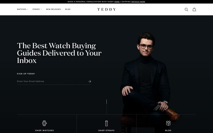 Teddy Baldassarre website preview