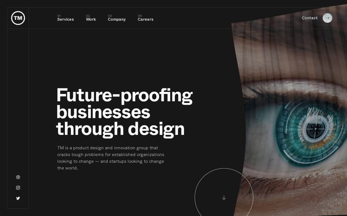 TM website preview
