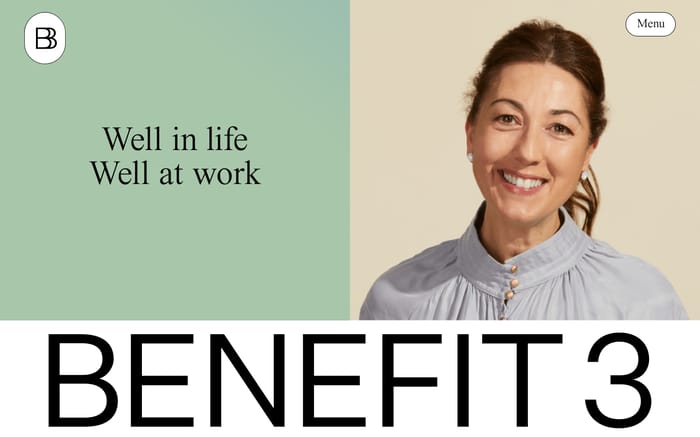 Benefit3 website preview