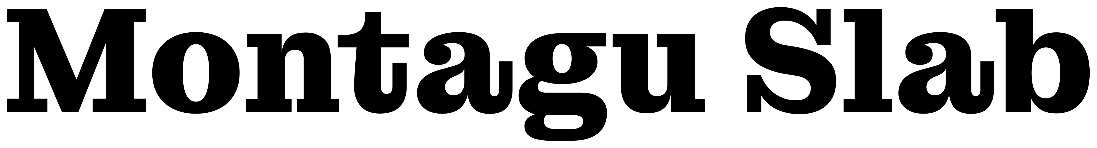 Montagu Slab font preview