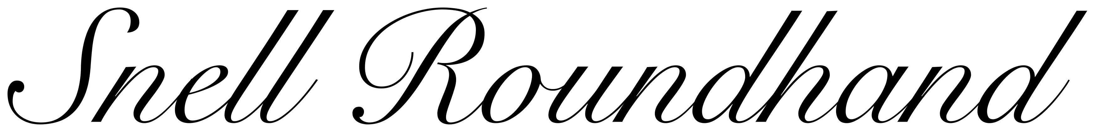 Snell Roundhand font preview