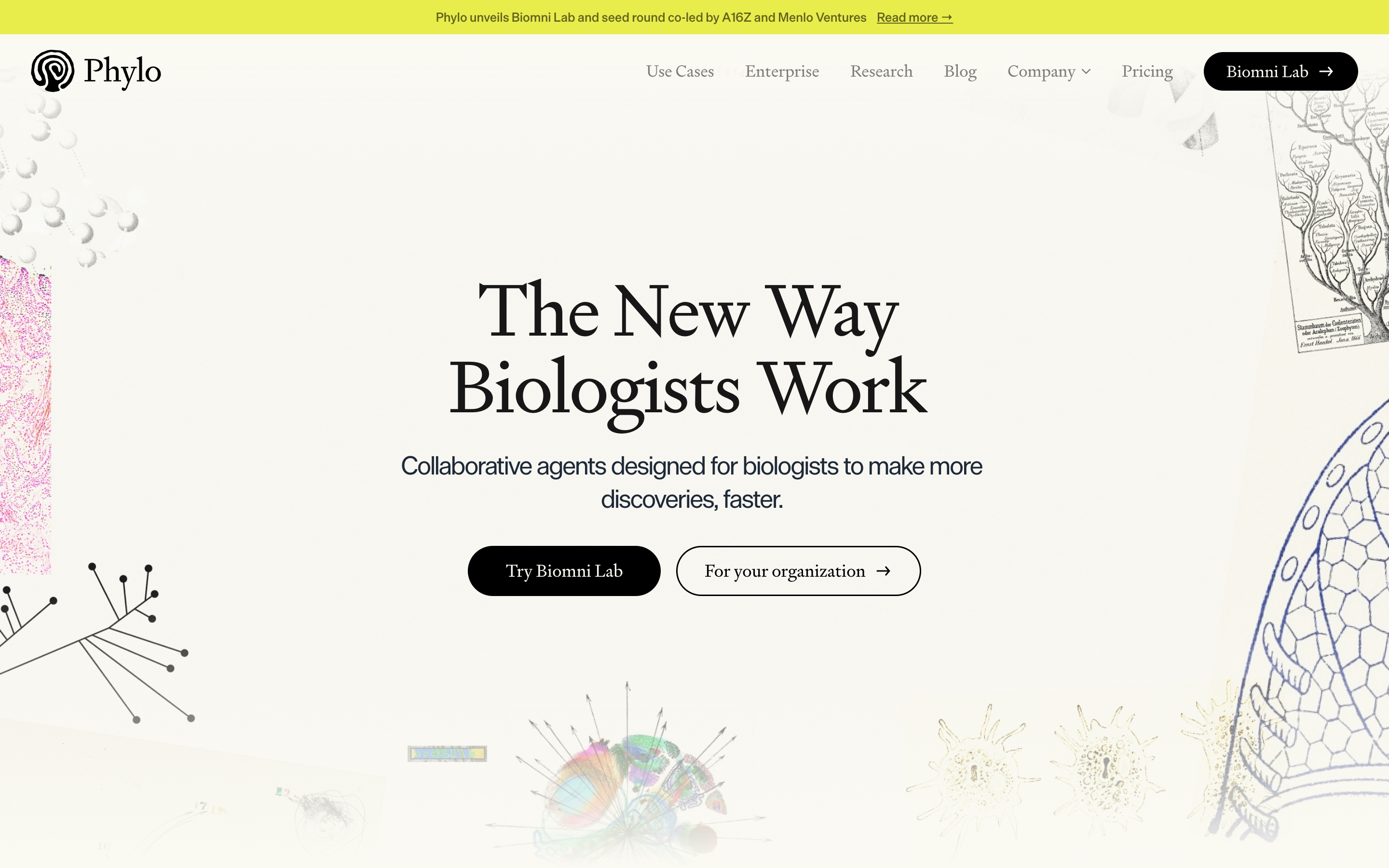 Phylo hero section with oversized serif headline, dual CTAs, and vintage scientific illustrations on a cream background.
