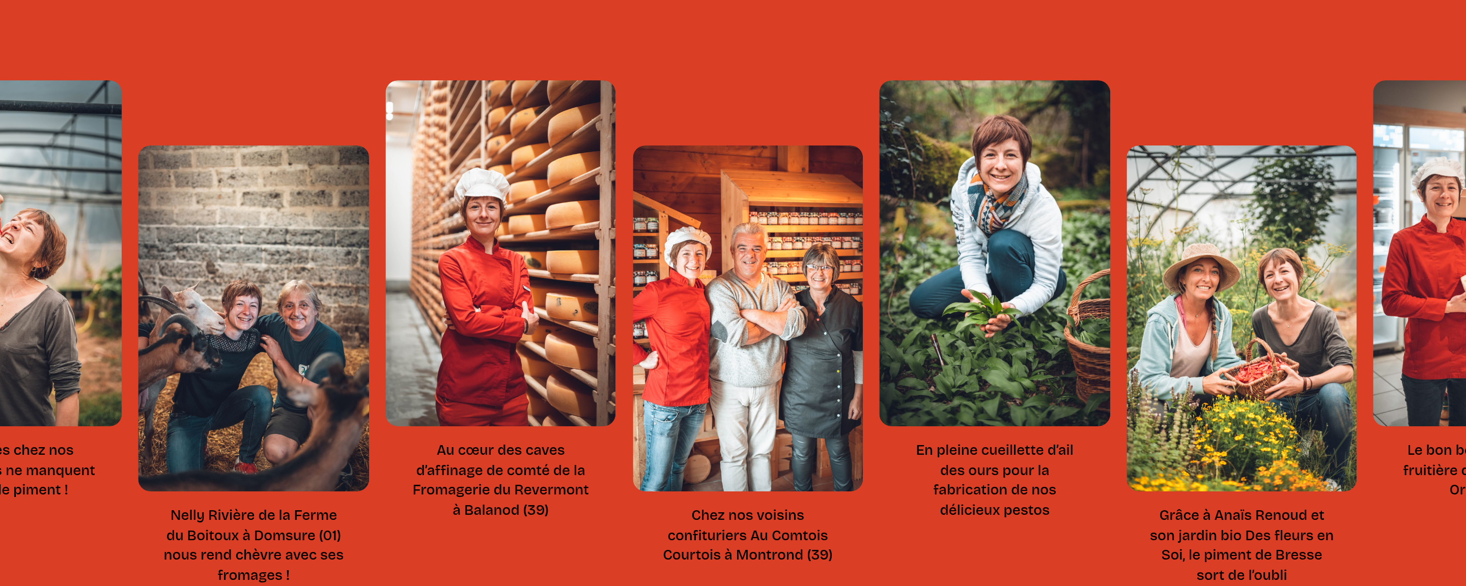 L'Atelier de Geraldine Partners design