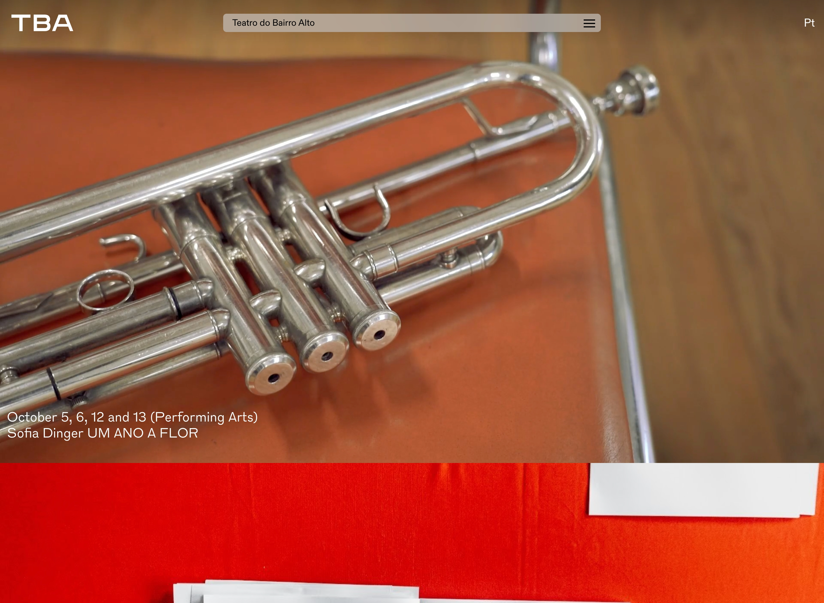 Teatro do Bairro Alto Header design