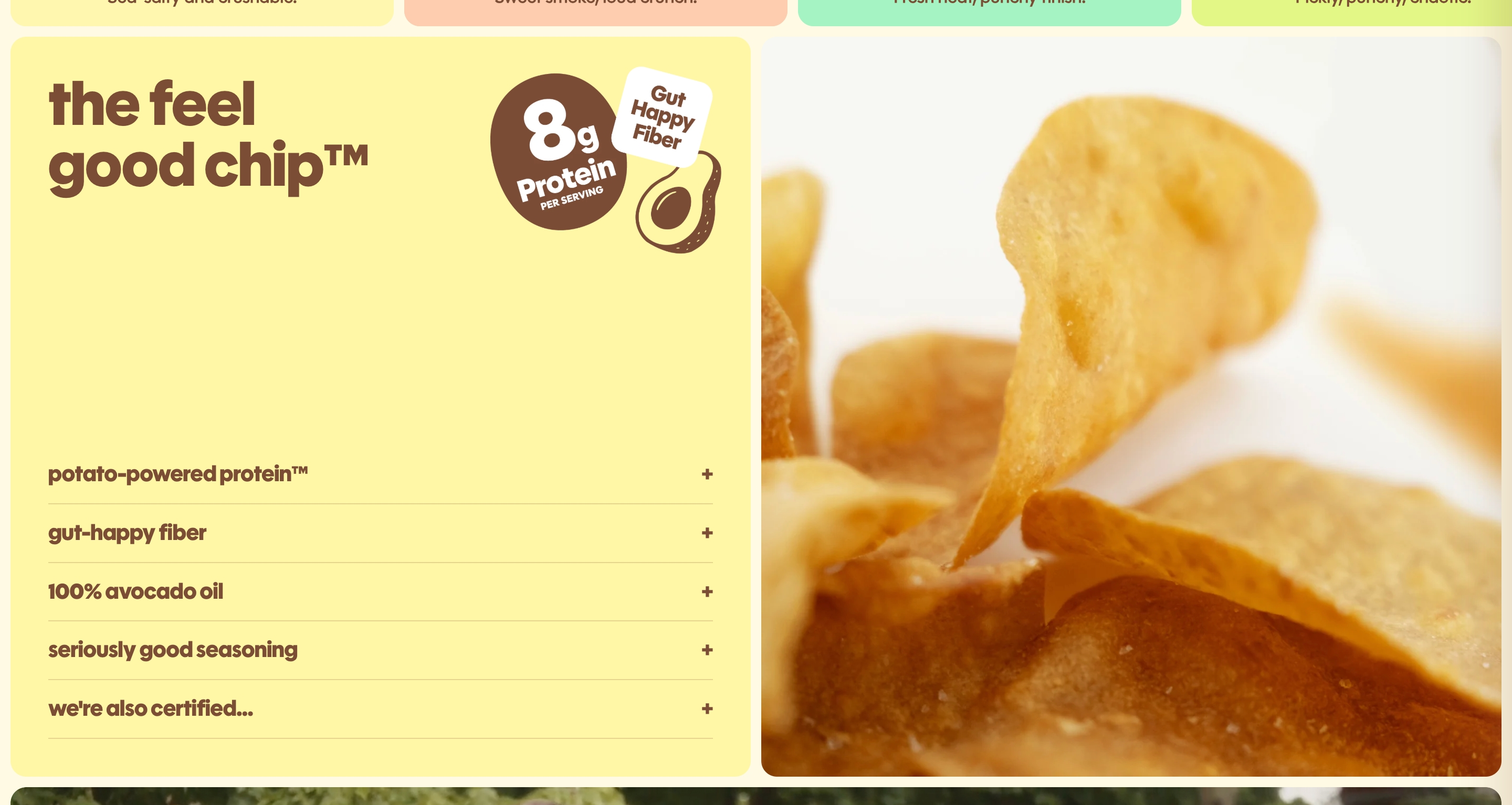 Snackish features section: yellow feel-good-chip panel, protein badges, plus-marked list, and close-up chip photo