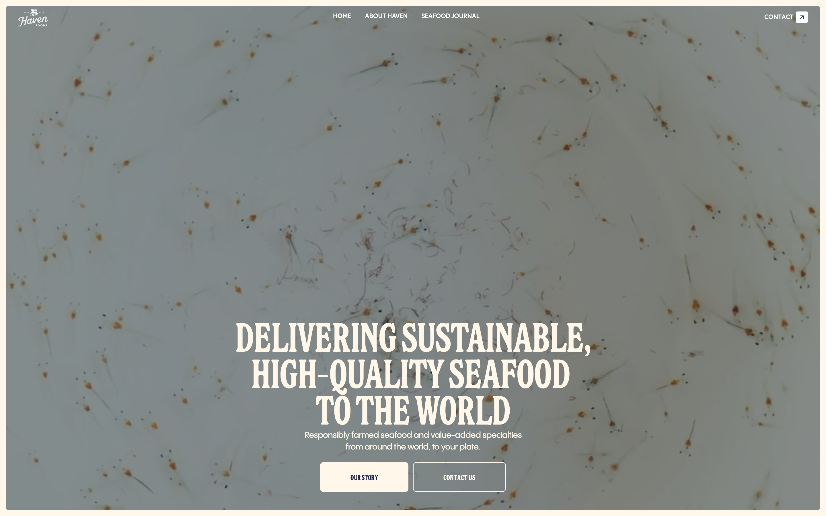 Haven Foods hero with shrimp photo, nav, sustainable seafood headline, and Our Story and Contact Us buttons.