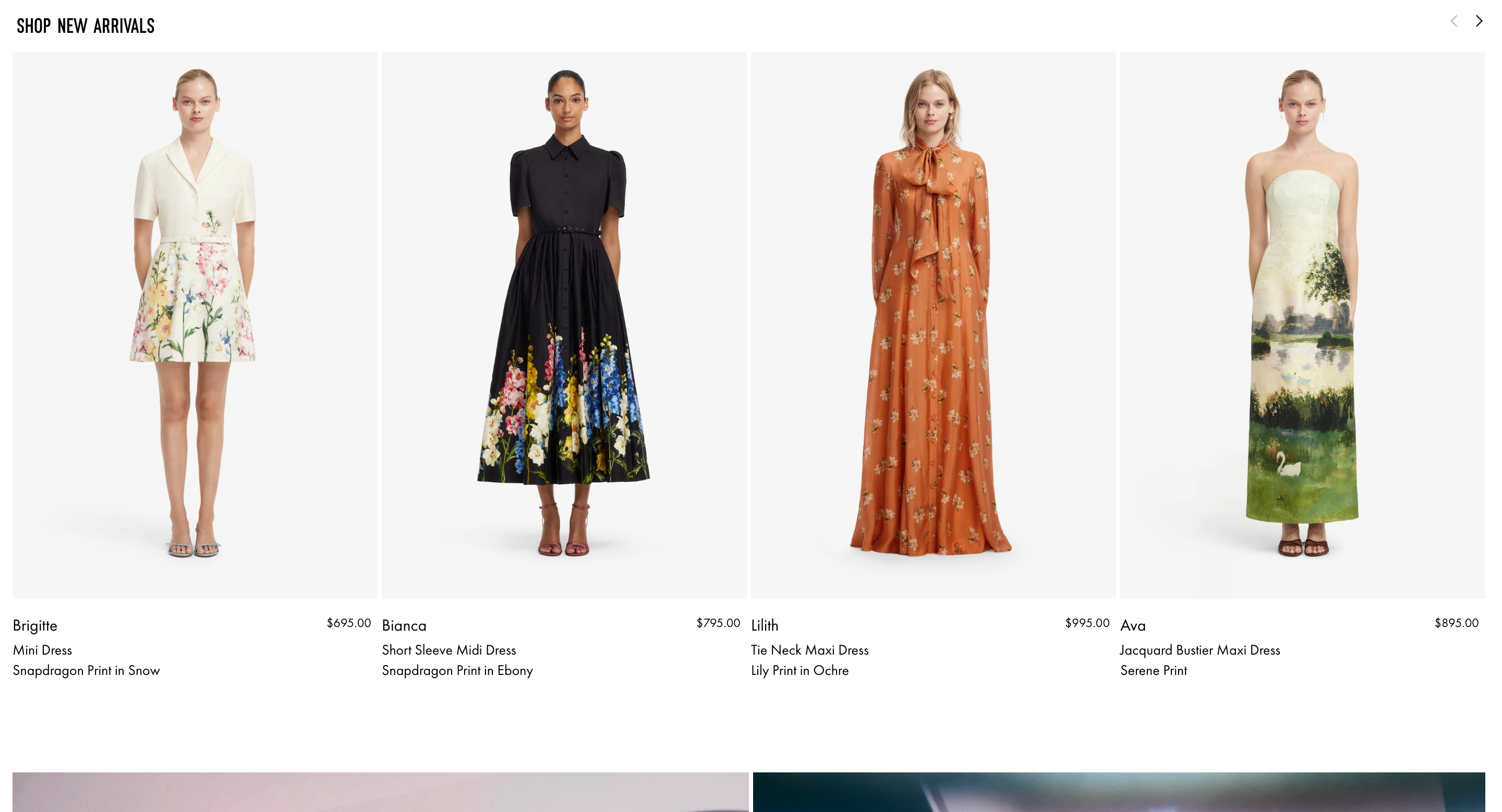 Leo Lin Gallery design