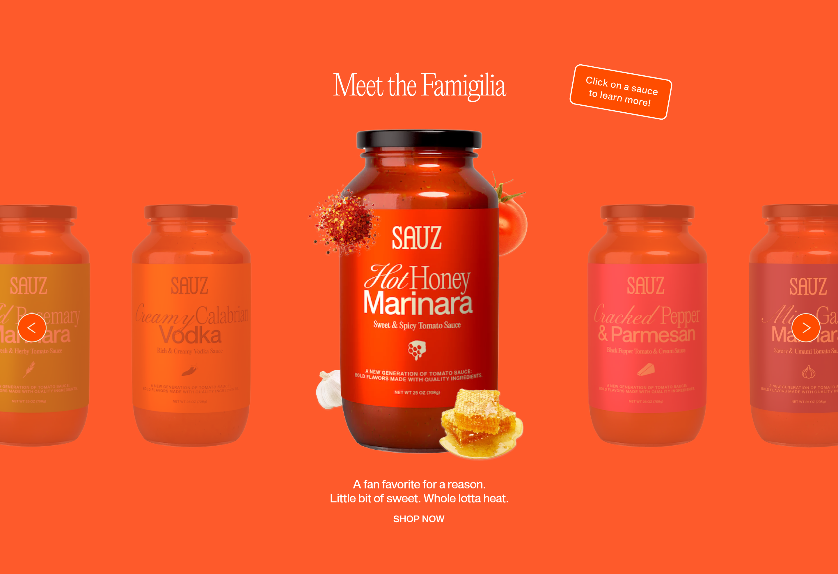 Sauz Products design