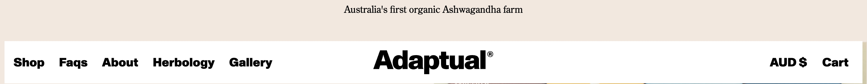 Adaptual Health Header design