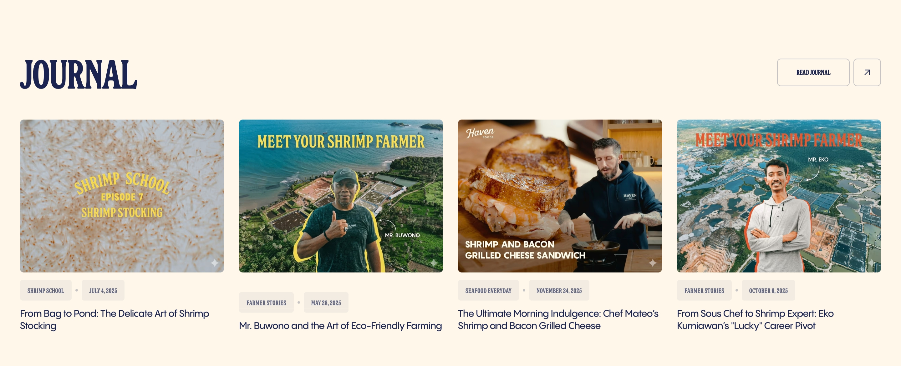 Haven Foods Blog design