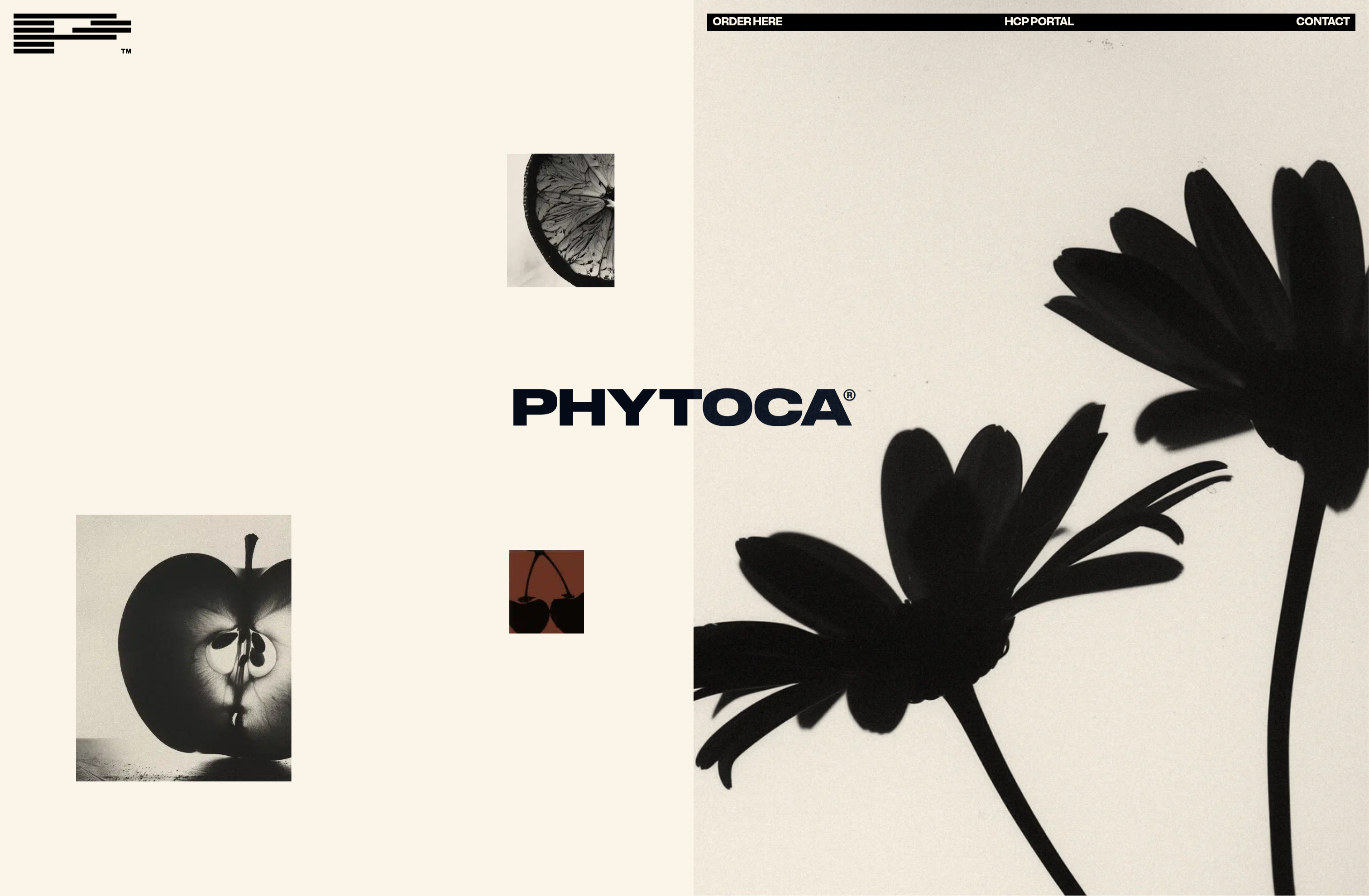 Phytoca Hero design