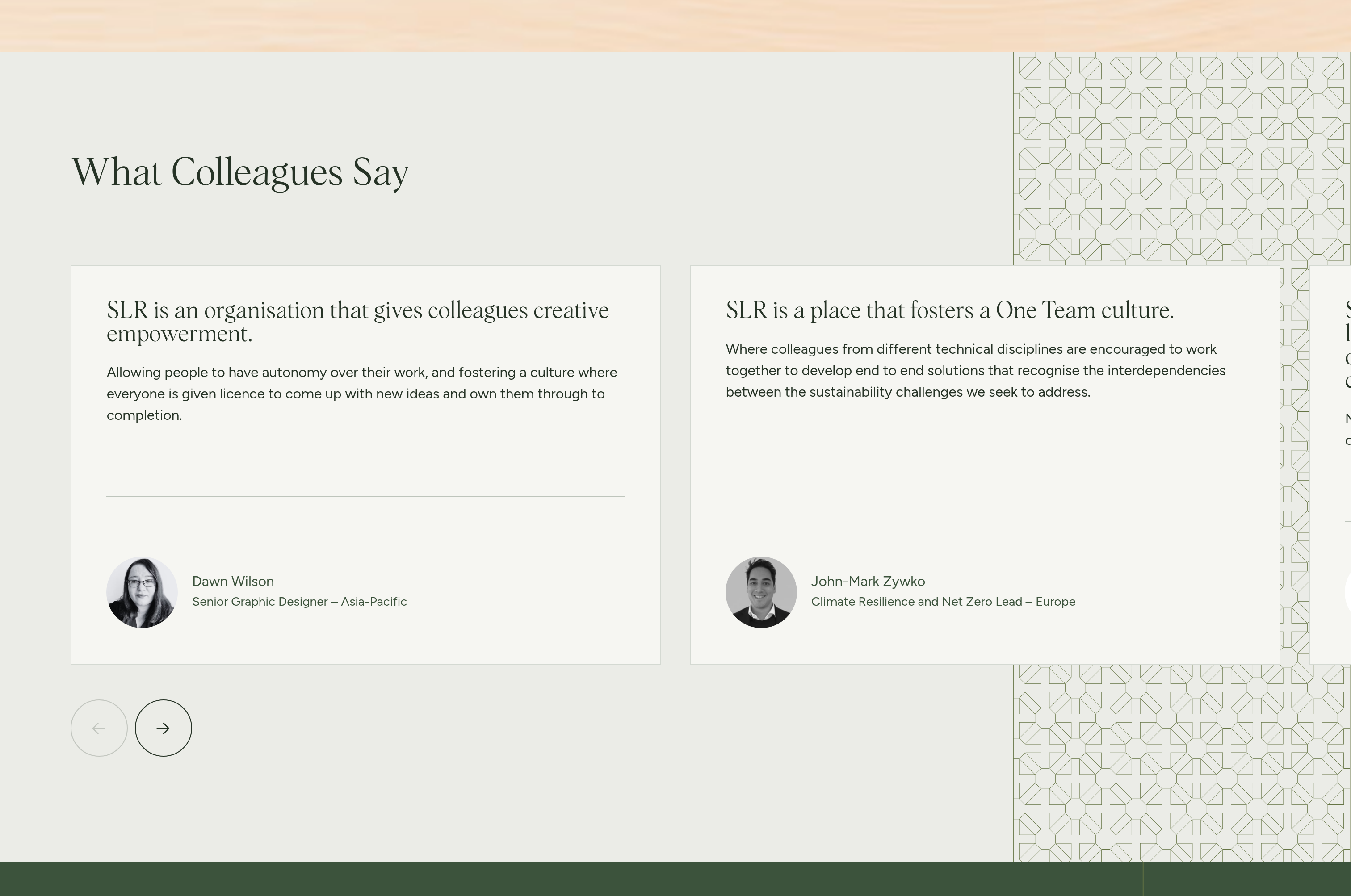 SLR Consulting Testimonial design