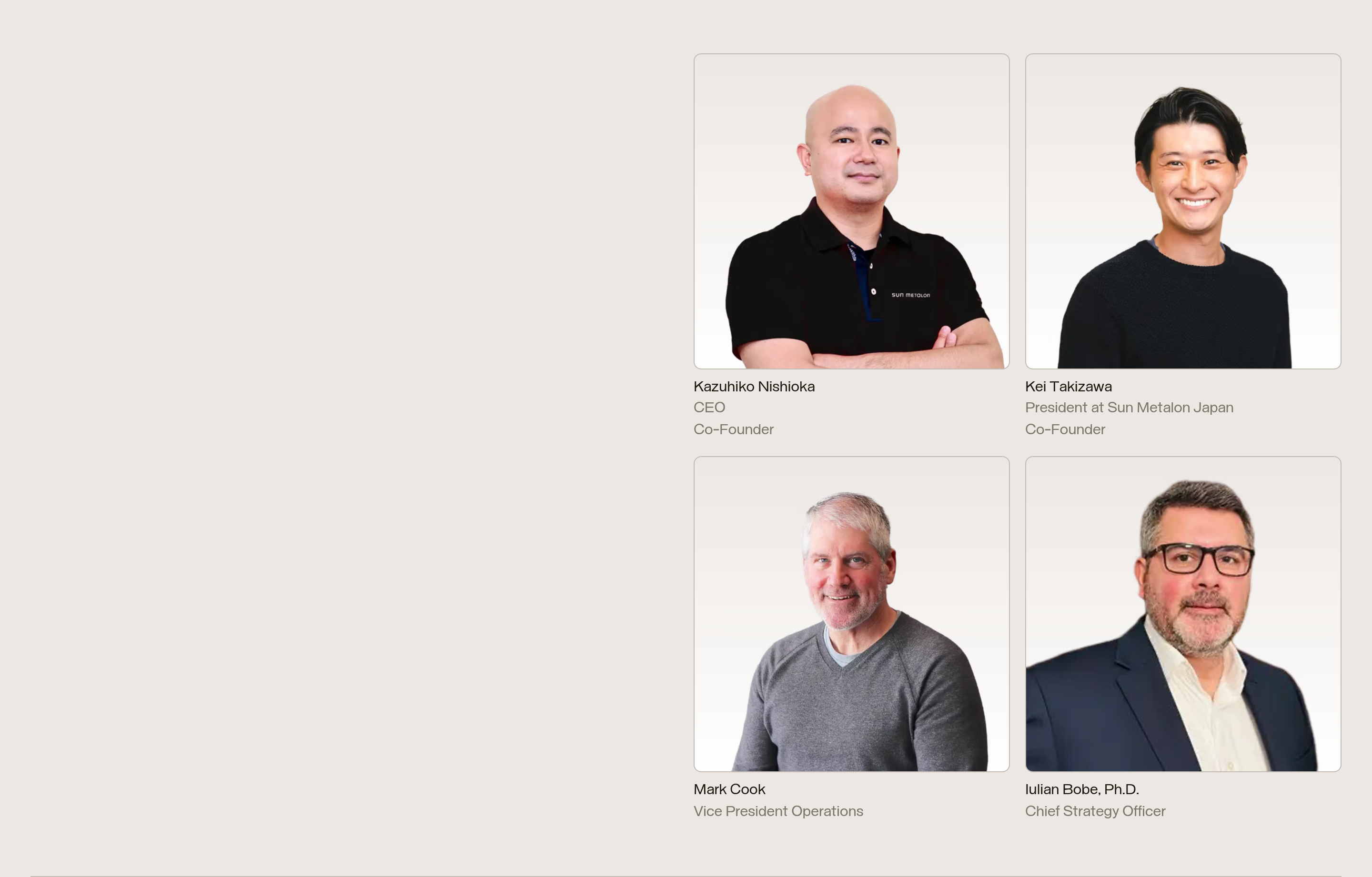 Sun Metalon Team design